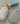 Flat Screw