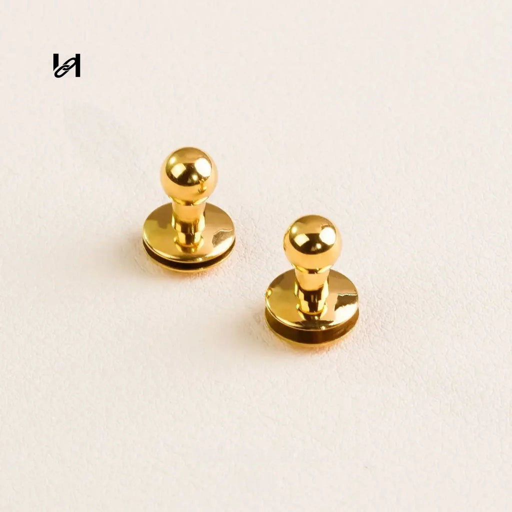 Stainless steel curved screws - hardware