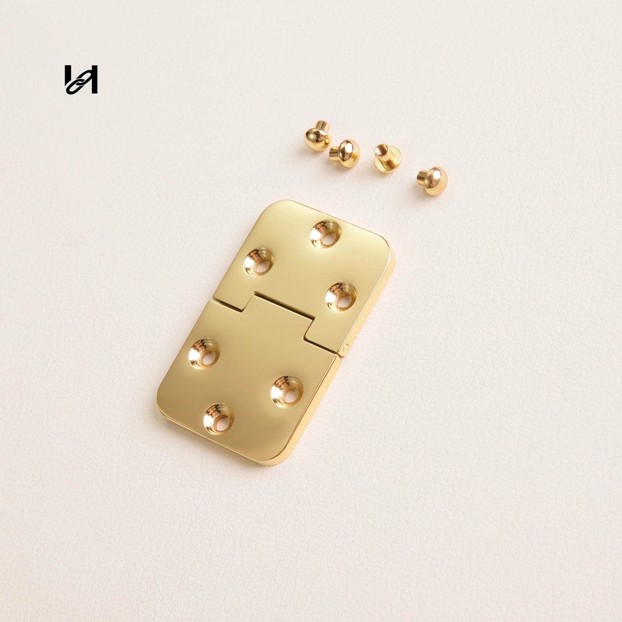 Stainless Steel Trunk Hinges