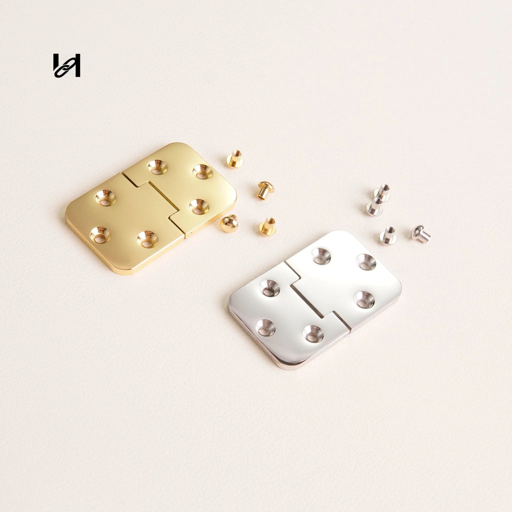 Stainless Steel Trunk Hinges