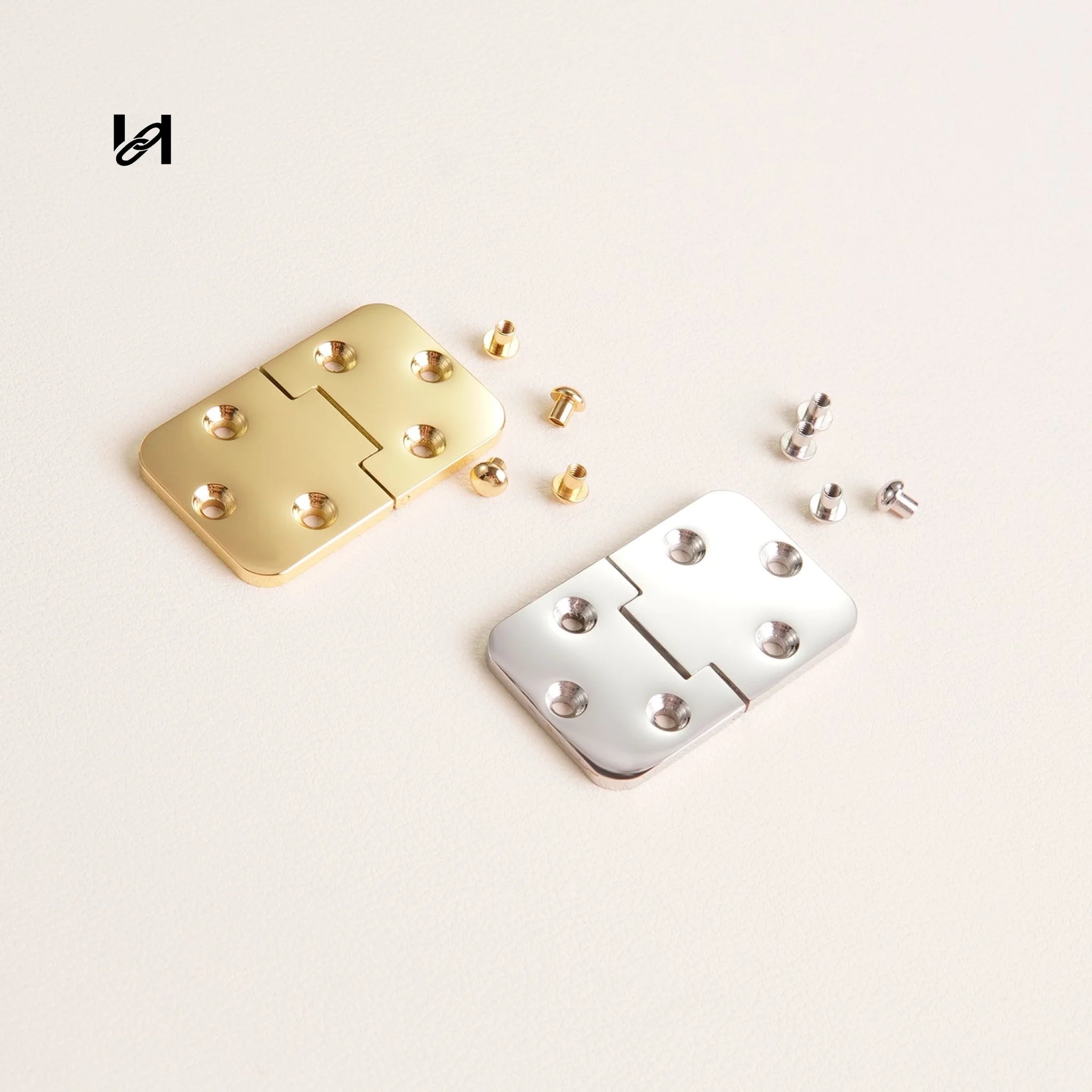 Stainless Steel Trunk Hinges