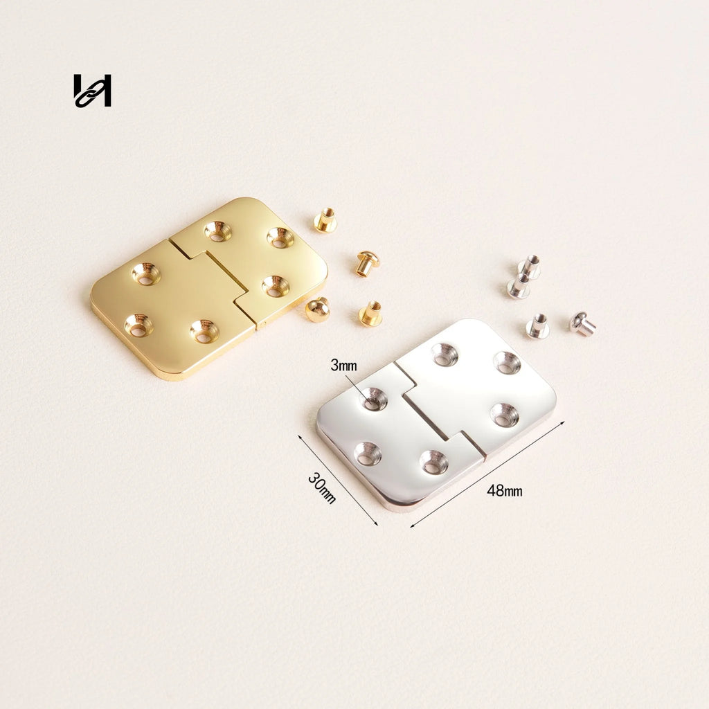 Stainless Steel Trunk Hinges