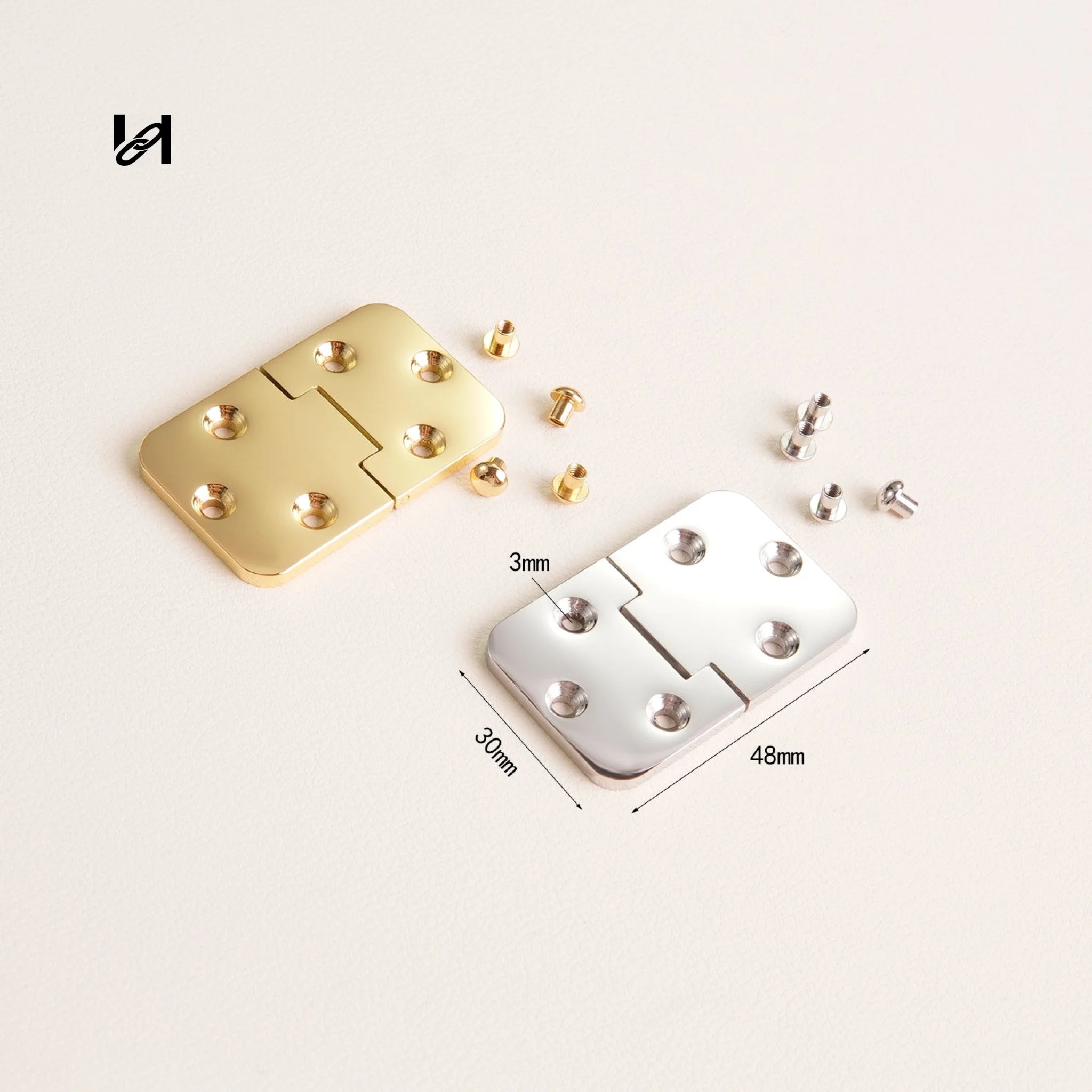Stainless Steel Trunk Hinges