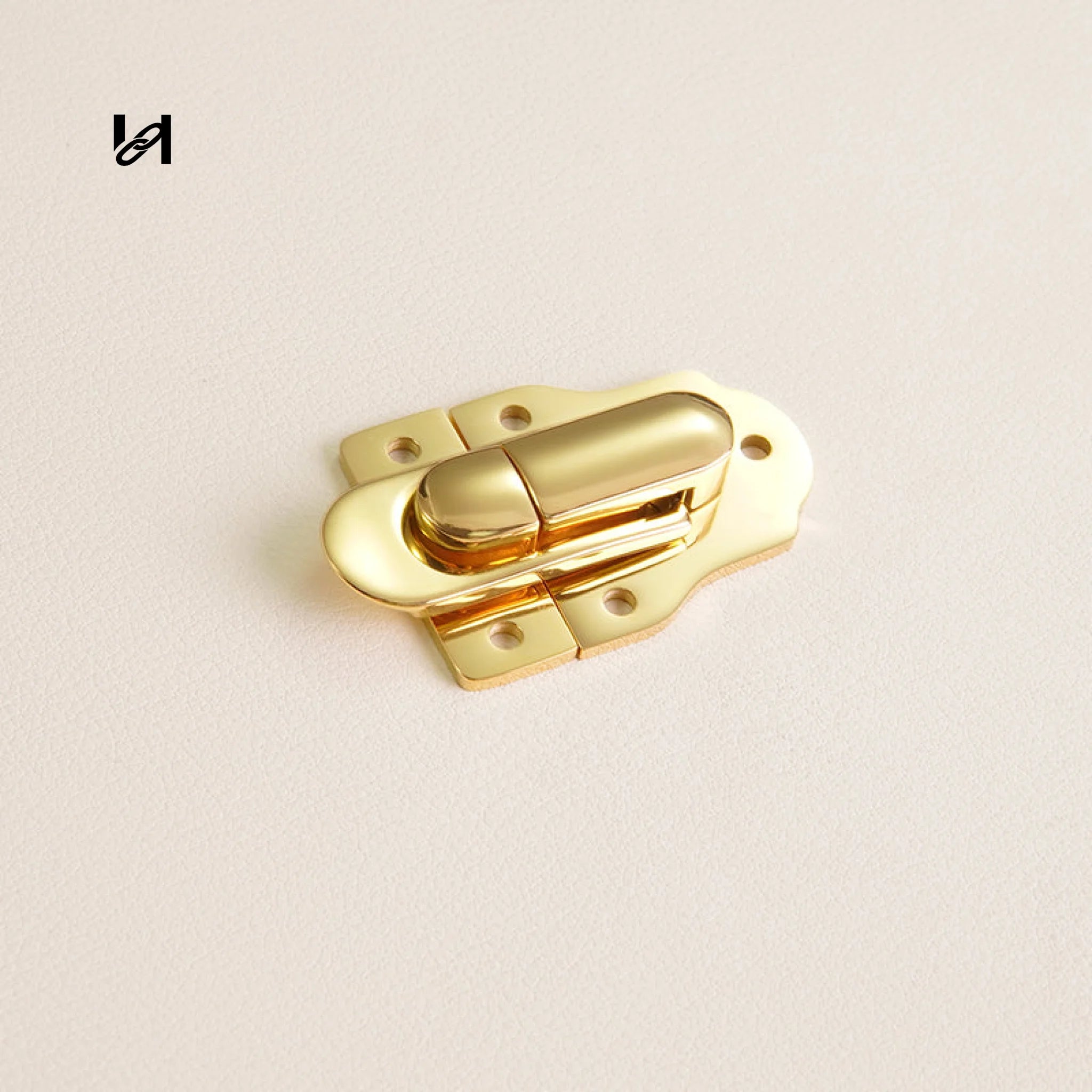 Stainless Steel Trunk Hinges & Locks Set - Gold - hardware