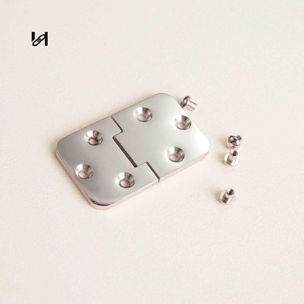 Stainless Steel Trunk Hinges
