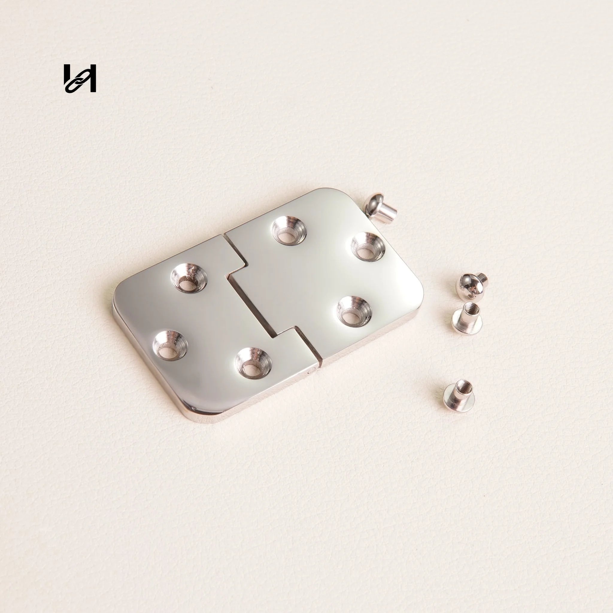 Stainless Steel Trunk Hinges