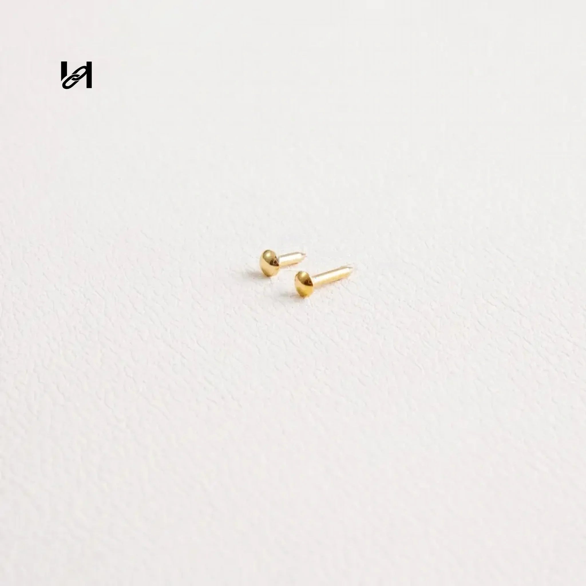 Nail for Trunks - hardware
