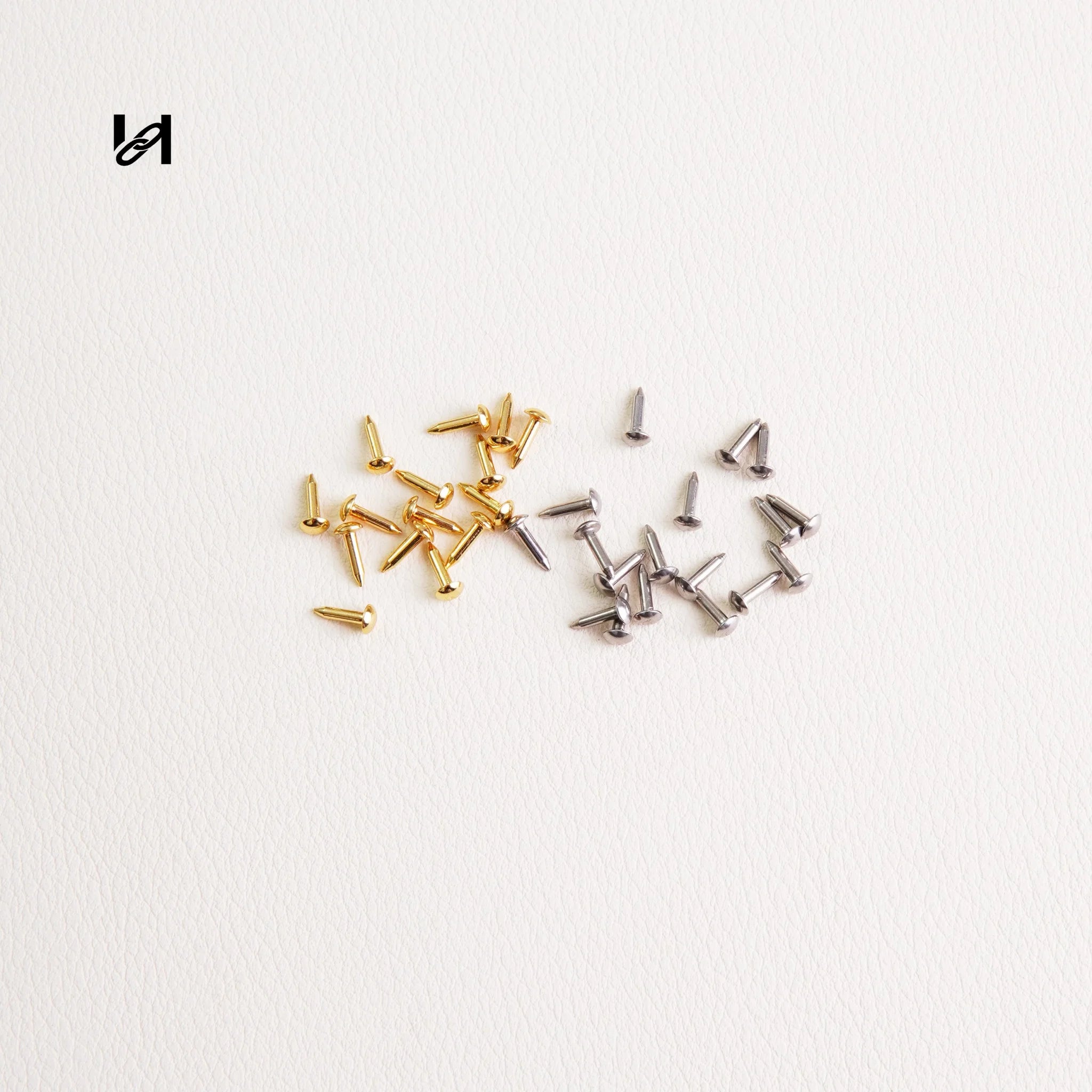 Stainless Steel Trunk Rivets - hardware