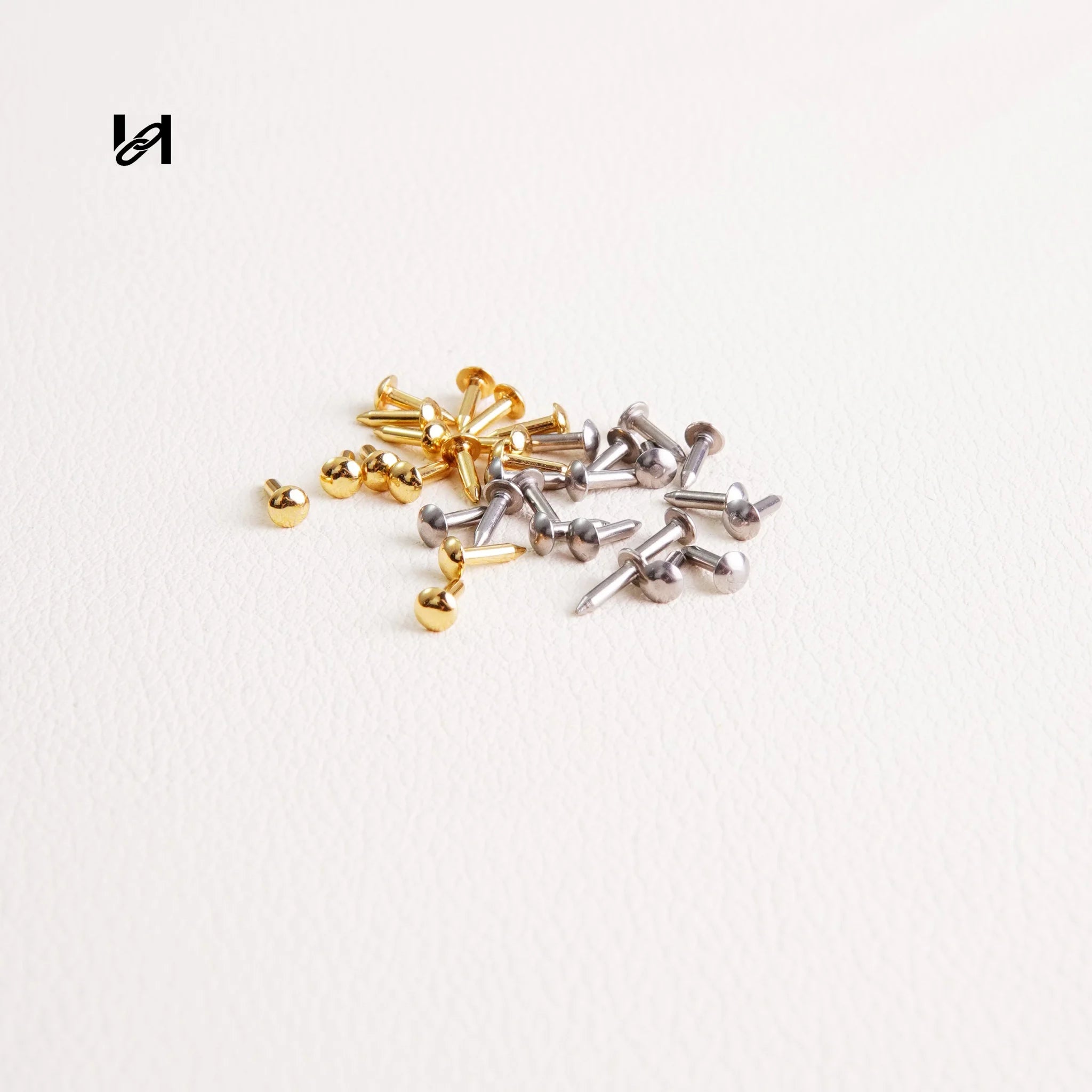 Stainless Steel Trunk Rivets - hardware