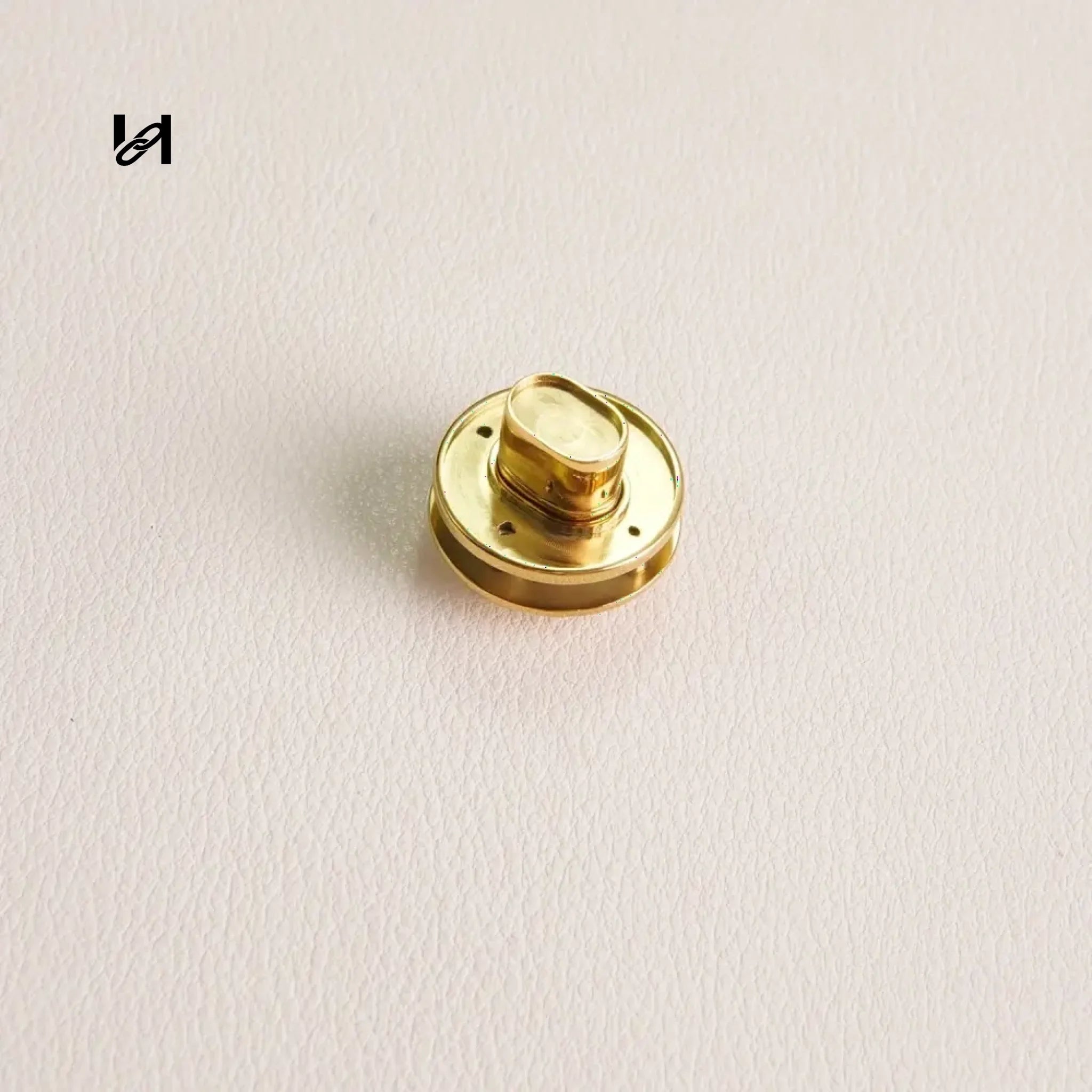 Turn Lock Clasp - 20mm / Insert leather / Gold - hardware